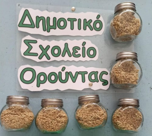 Έργα Τέχνης Παιδιών